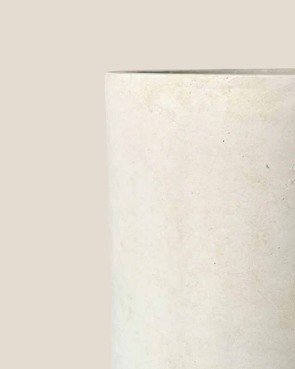 Elysia XL - Image 3