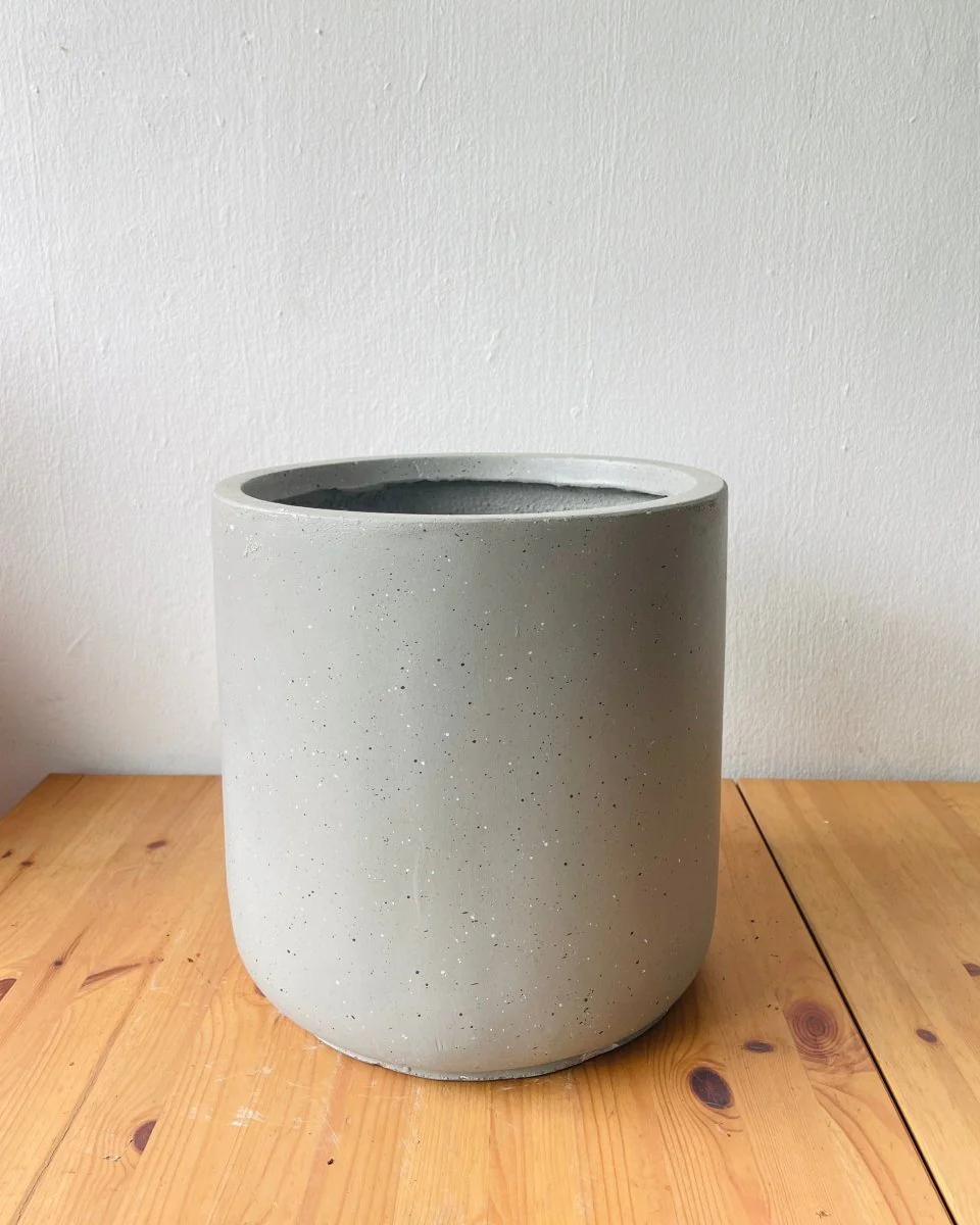Elysia XL - Image 4