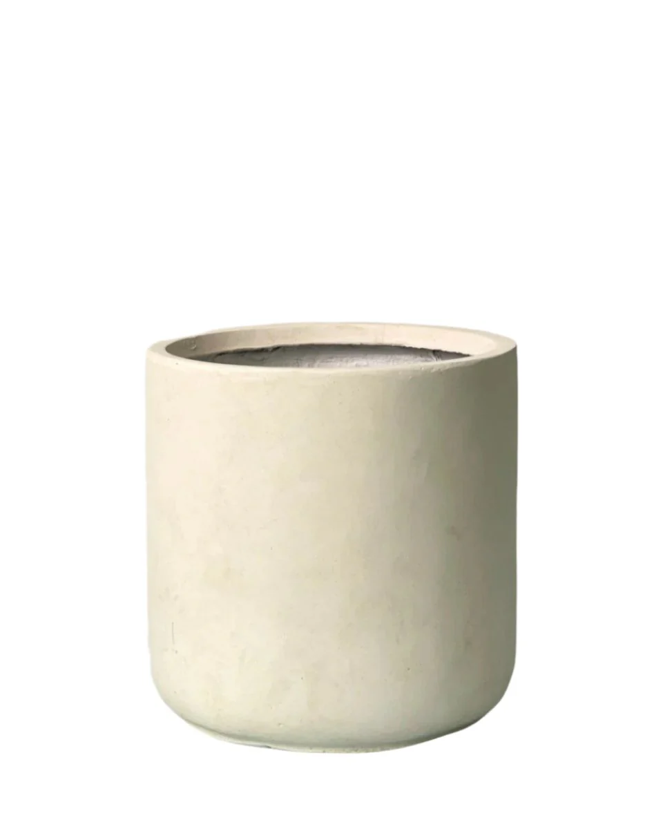 Elysia XL - Image 5