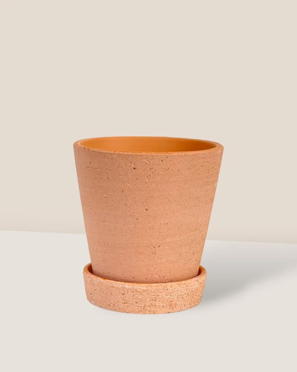 Terracotta Pot with Tray - XS - Image 4