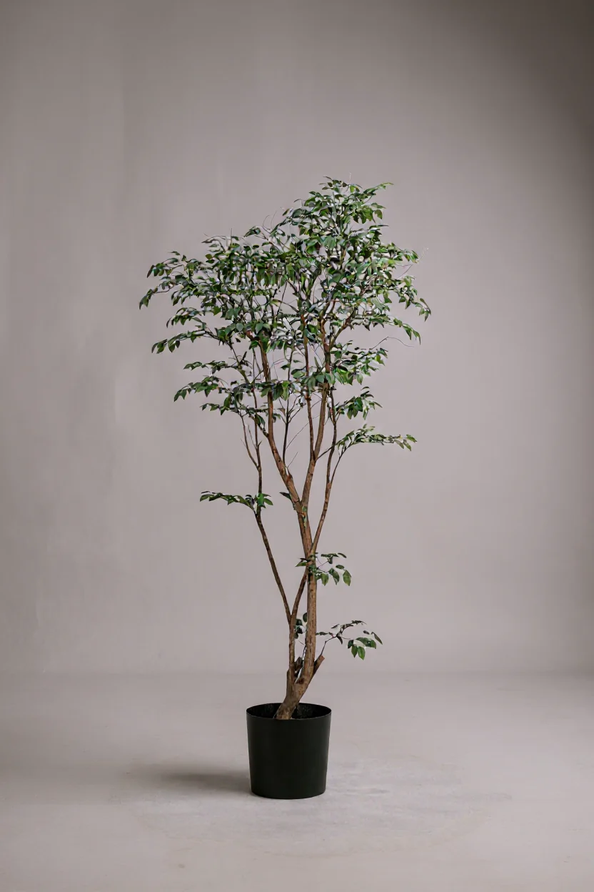 Ficus - Real-Trunk Artificial - Image 3
