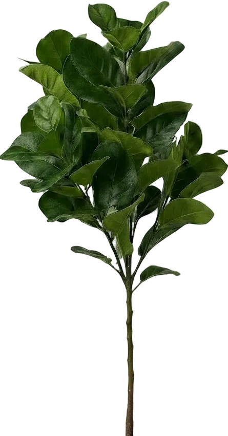 Fiddle-leaf Fig (Life-like Artificial) - Image 20
