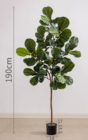Fiddle-leaf Fig (Life-like Artificial) - Image 9