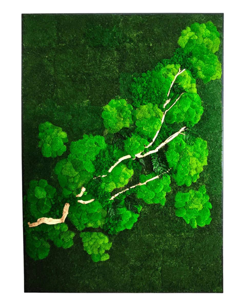 Frame Greens - MOSS. - Image 8
