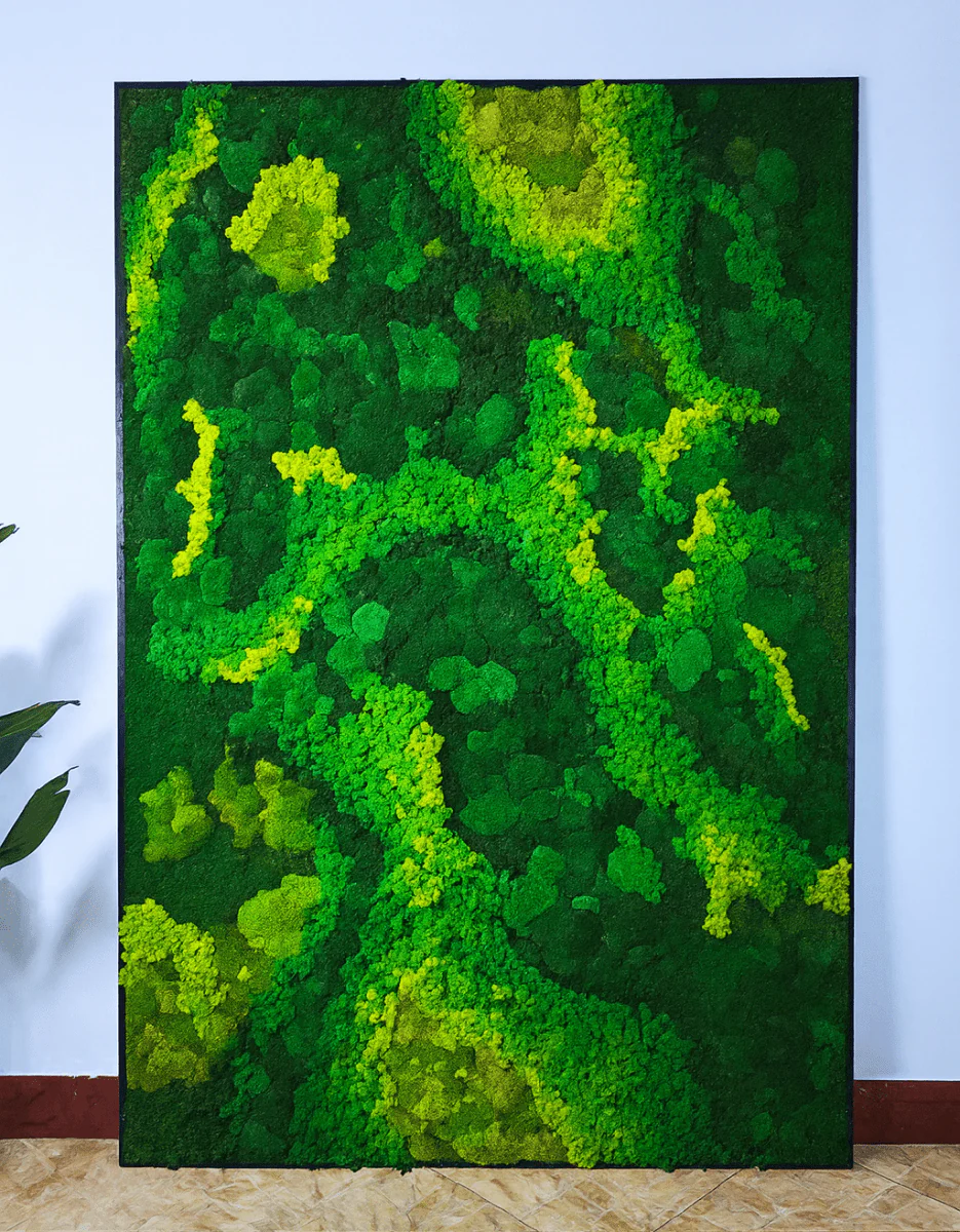Frame - Preserved Plants: MOSS. - Image 3