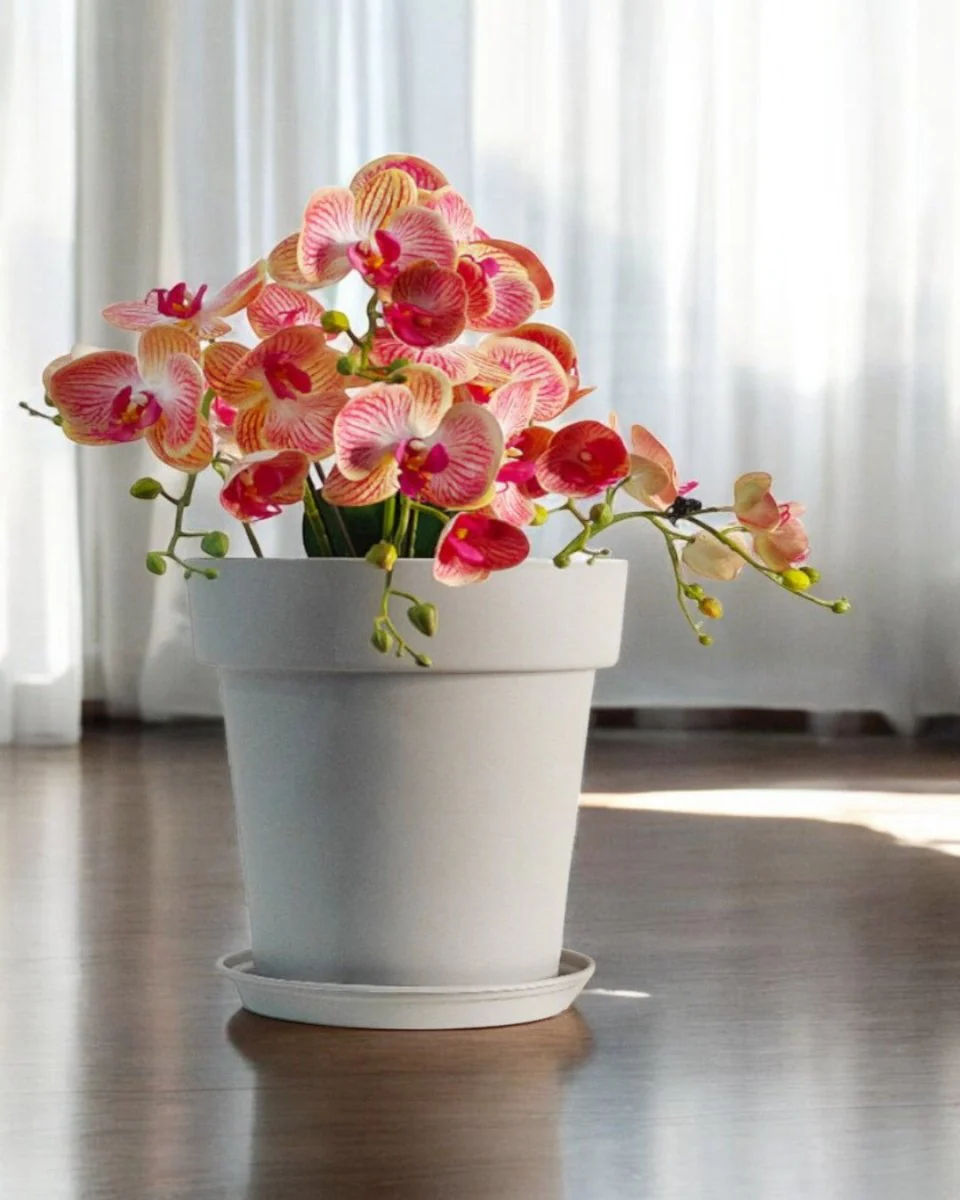 GAL Plastic Pots Large