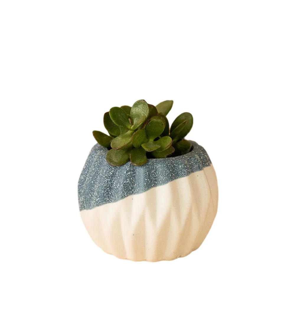 Geometric Mini Pots Blue/White - Image 12