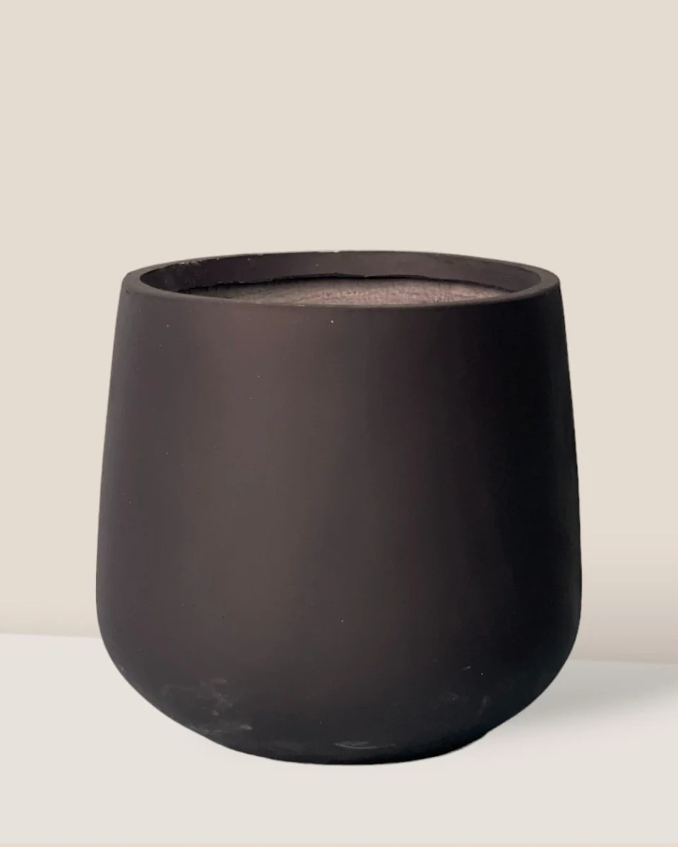 Goblet Pot XL - Image 6