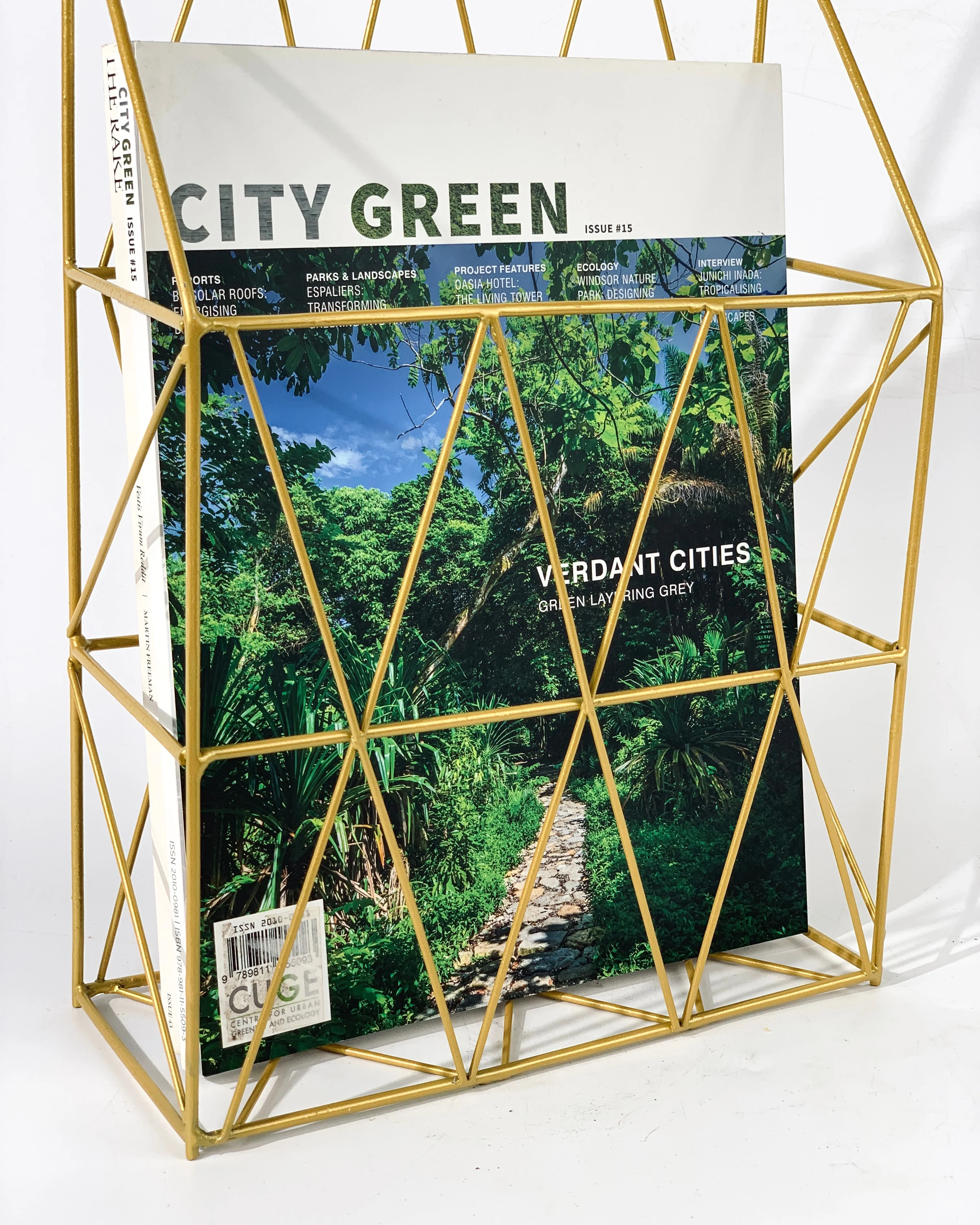 Gold Magazine rack - Image 5
