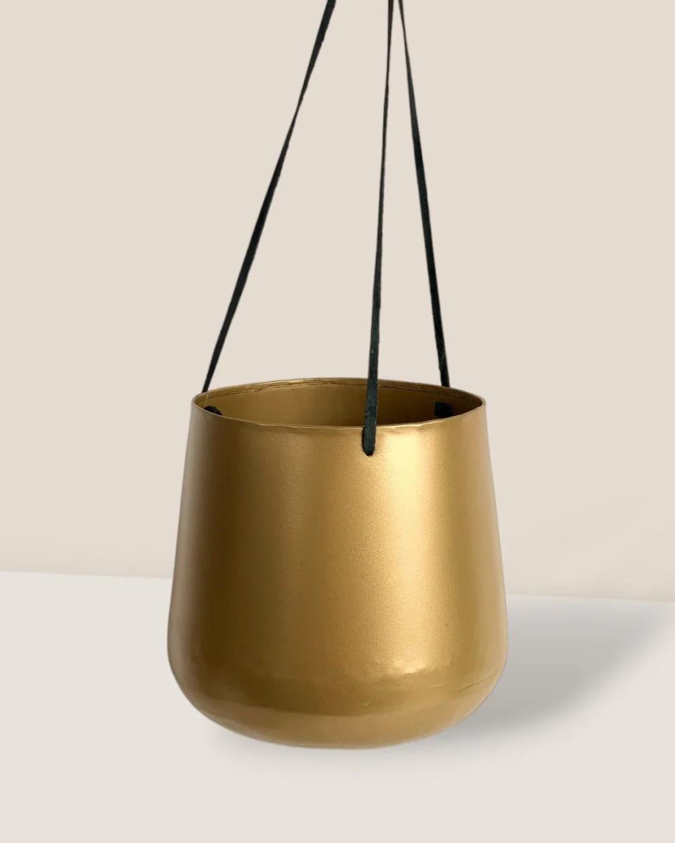 Golden Hanging Pot - Image 2