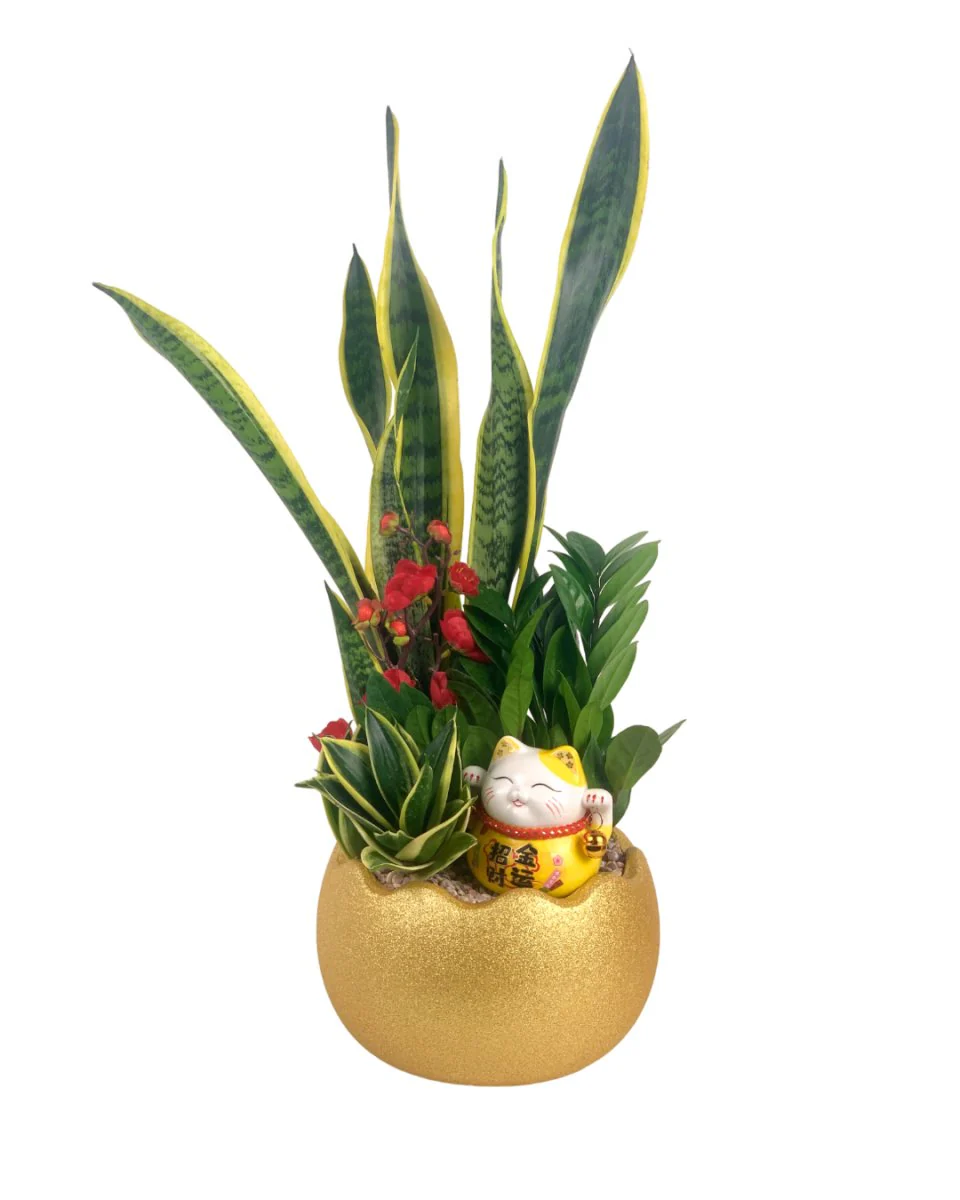 Good Fortune Cat Decor (Only Available As An Add-On Only) - Image 3