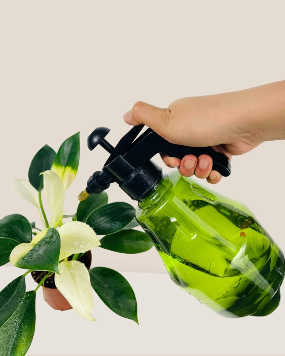 Gwen Pump Spray - Image 3