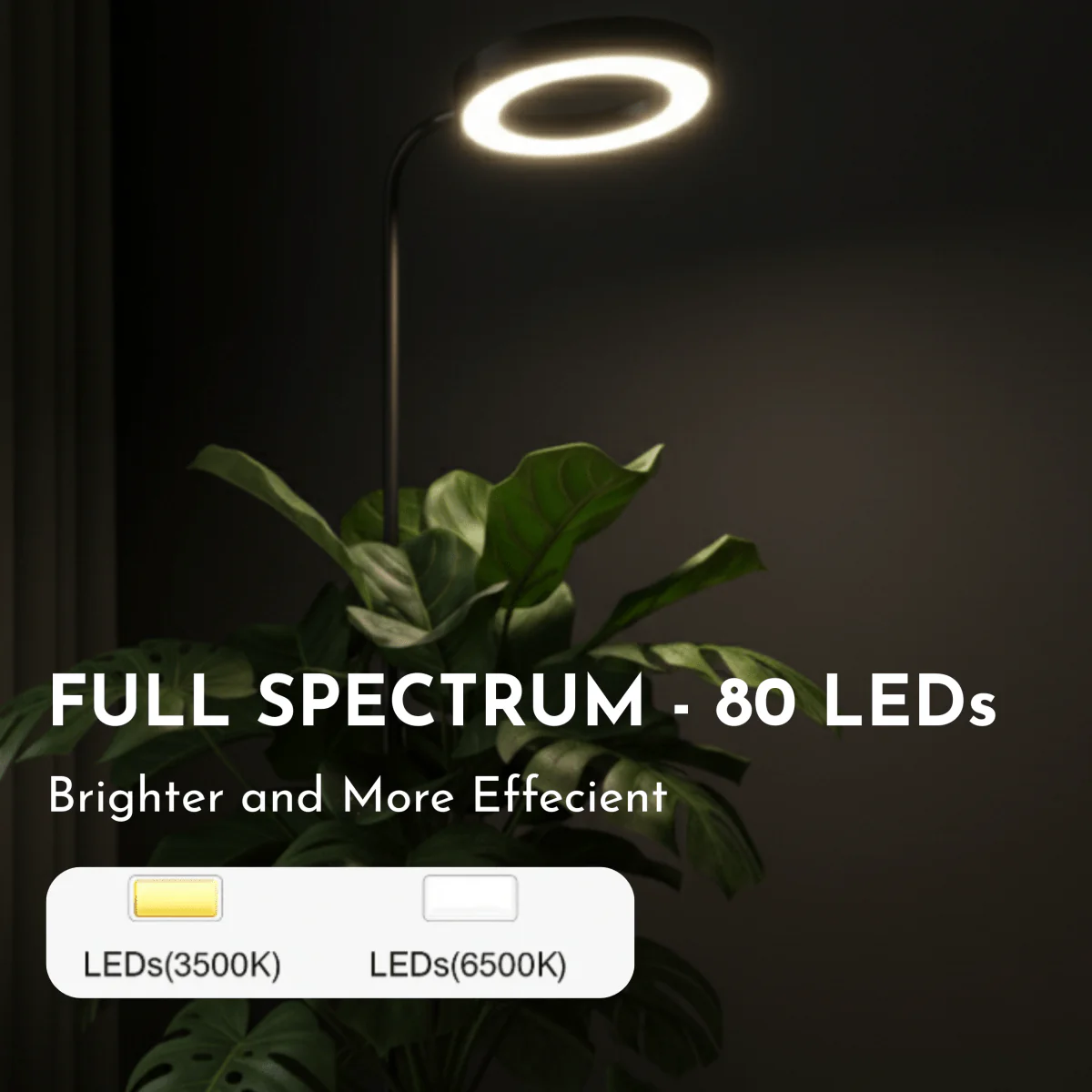 HALO Plant Light - XL - Image 10
