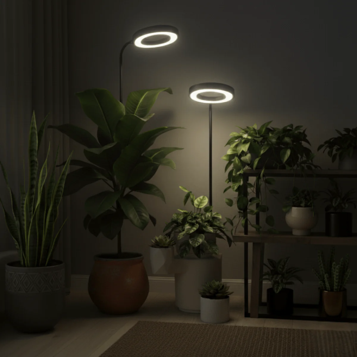 HALO Plant Light - XL - Image 12