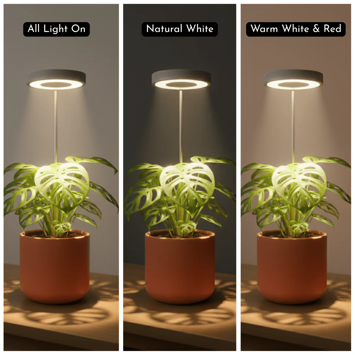 HALO Plant Lights - Stems - Image 10