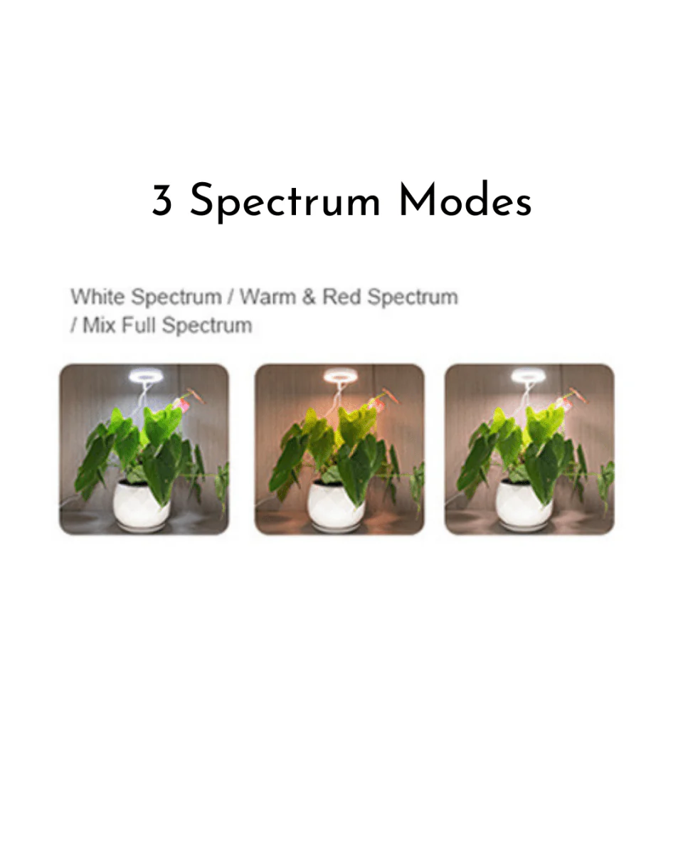 HALO Plant Lights - Stems - Image 13