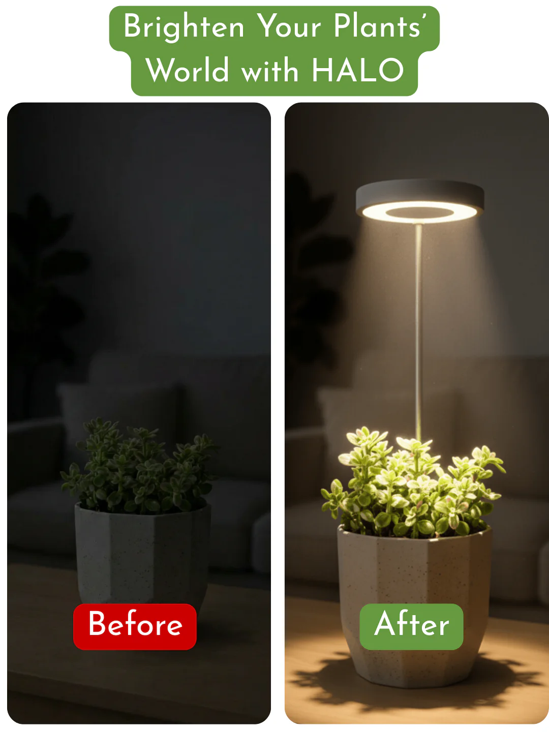 HALO Plant Lights - Stems - Image 2