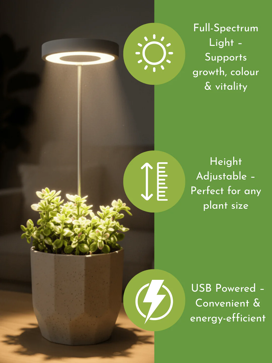 HALO Plant Lights - Stems - Image 3