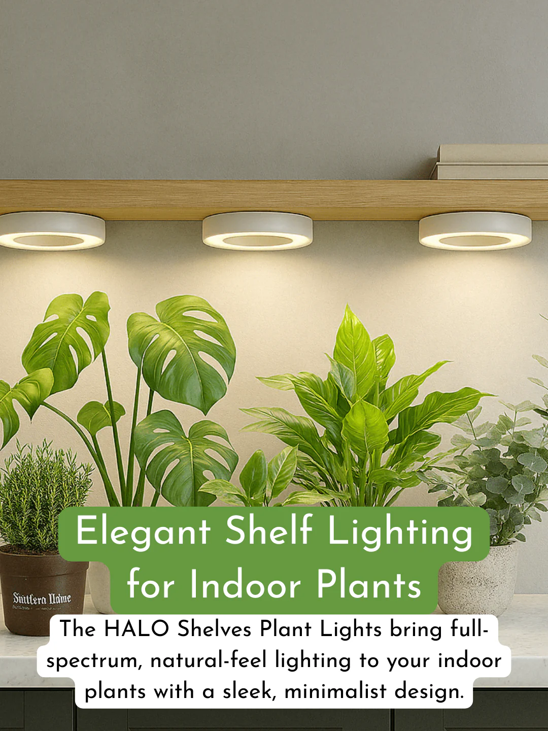 HALO Shelves Plant Lights - Image 4