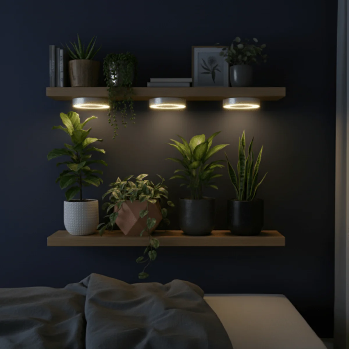 HALO Shelves Plant Lights - Image 8