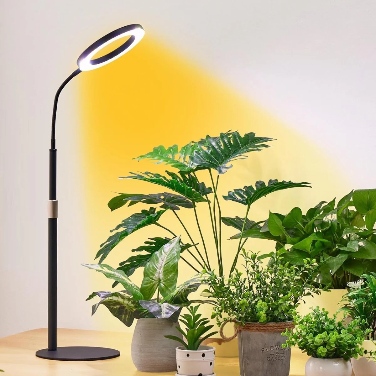 HALO Table Plant Lights