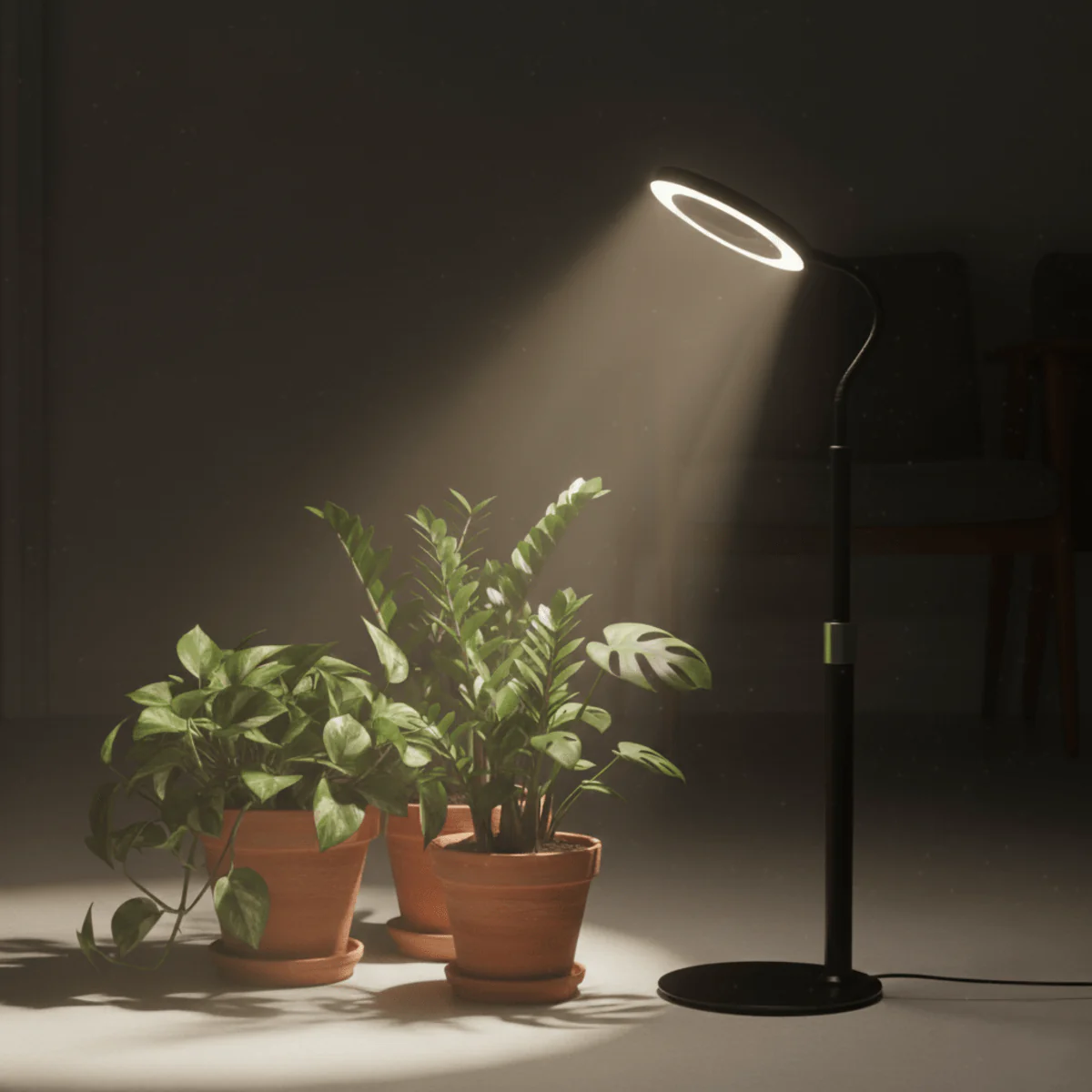 HALO Table Plant Lights - Image 16