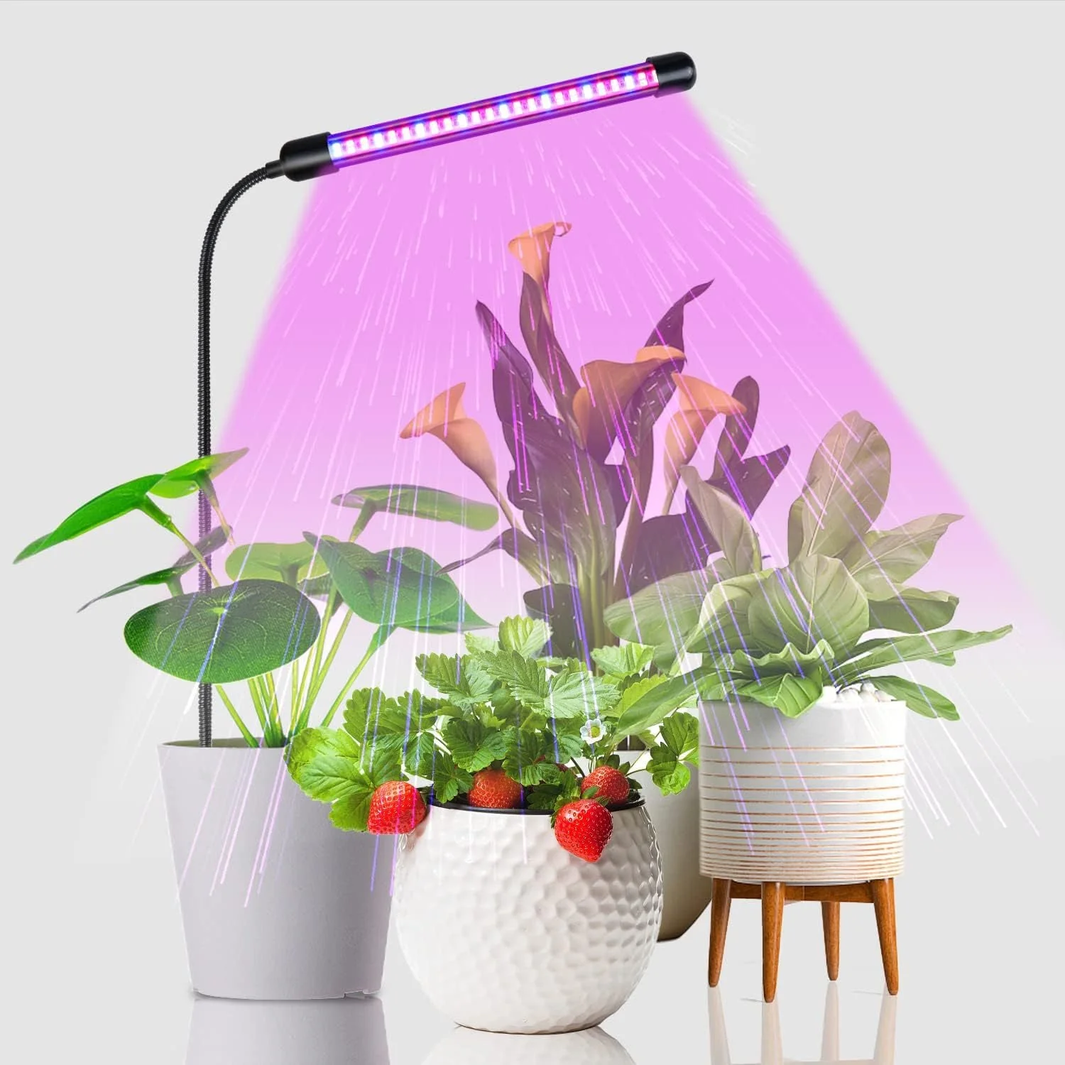 HaloStick - LED Grow Light (Indoor) - Image 10
