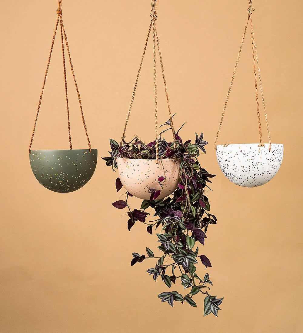 Hanging Domes by Capra Designs - Image 3