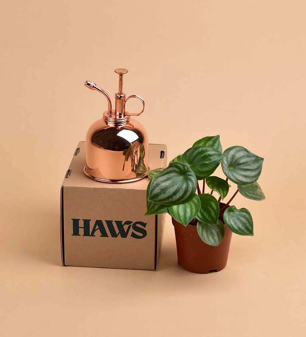 SECOND CHANCE: Haws Misters - Image 3