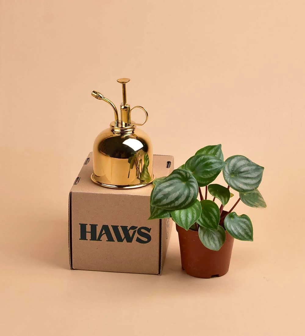 SECOND CHANCE: Haws Misters - Image 4