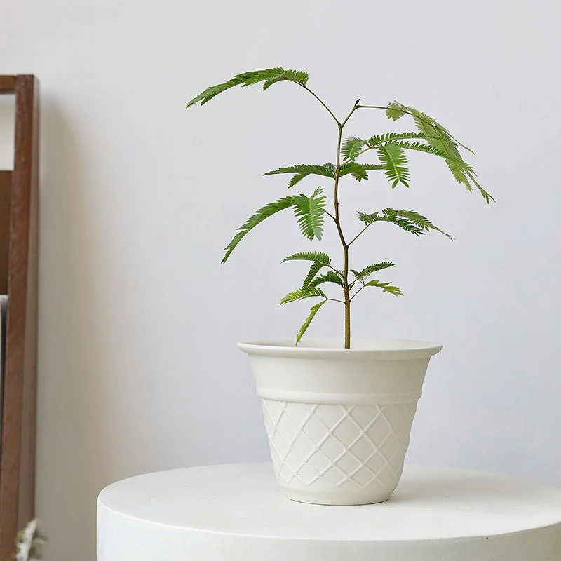 Ice Cream Cone Planter - Image 2