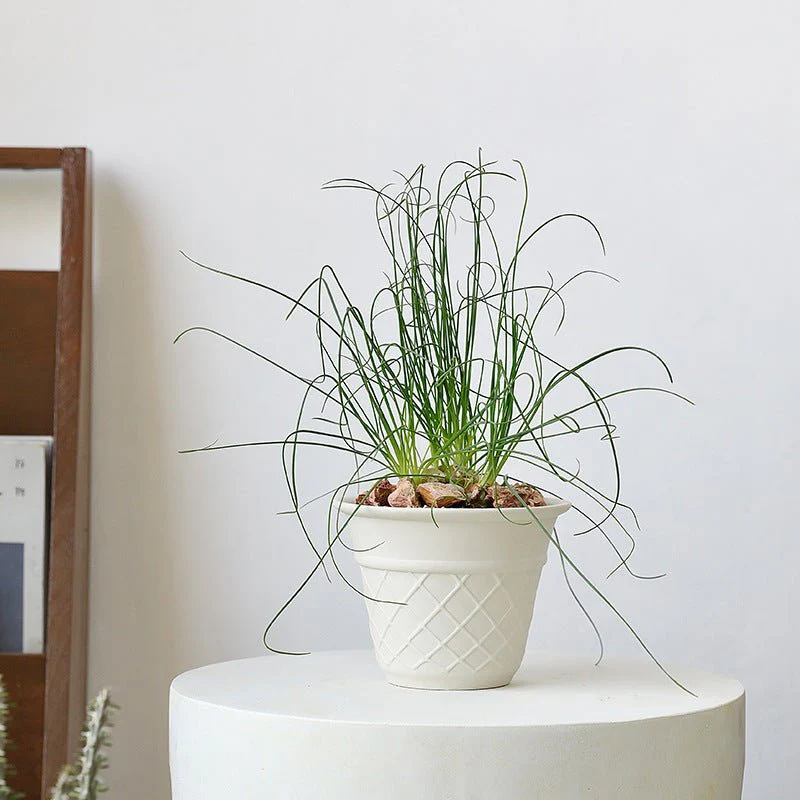 Ice Cream Cone Planter - Image 4