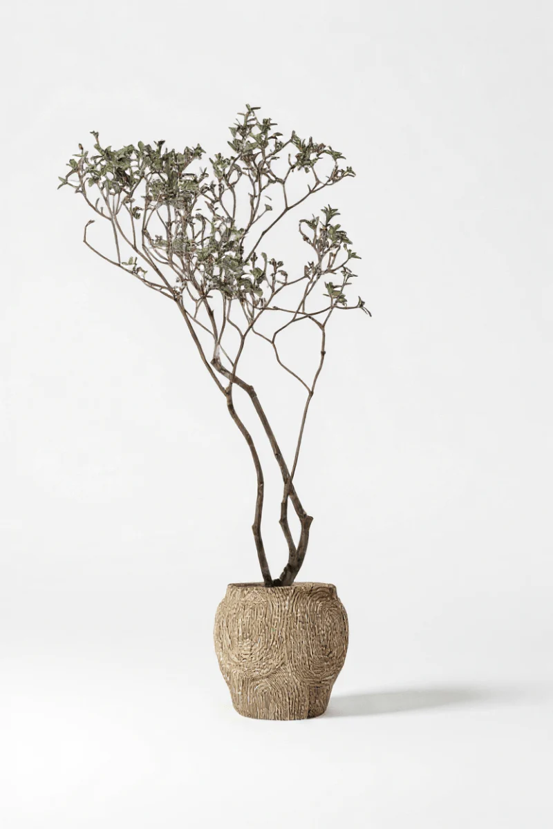 Island Tree - Real-Trunk Artificial - Image 14
