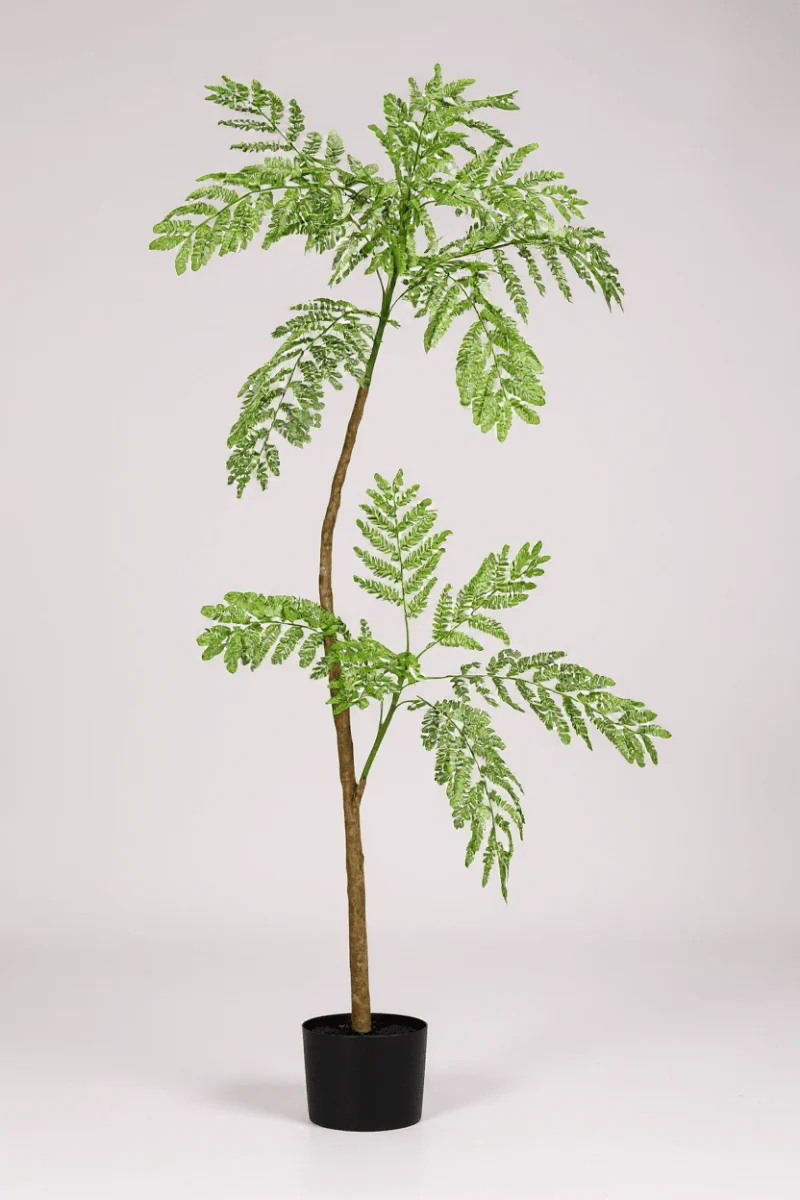 Jacaranda Tree (Life-like Artificial) - Image 5