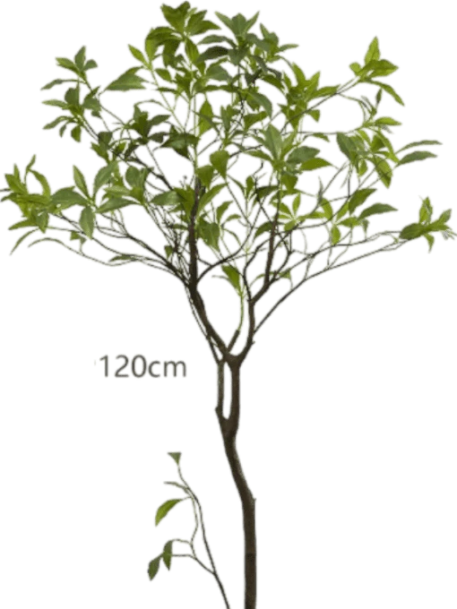Japanese Andromeda - Real-Trunk Artificial - Image 26