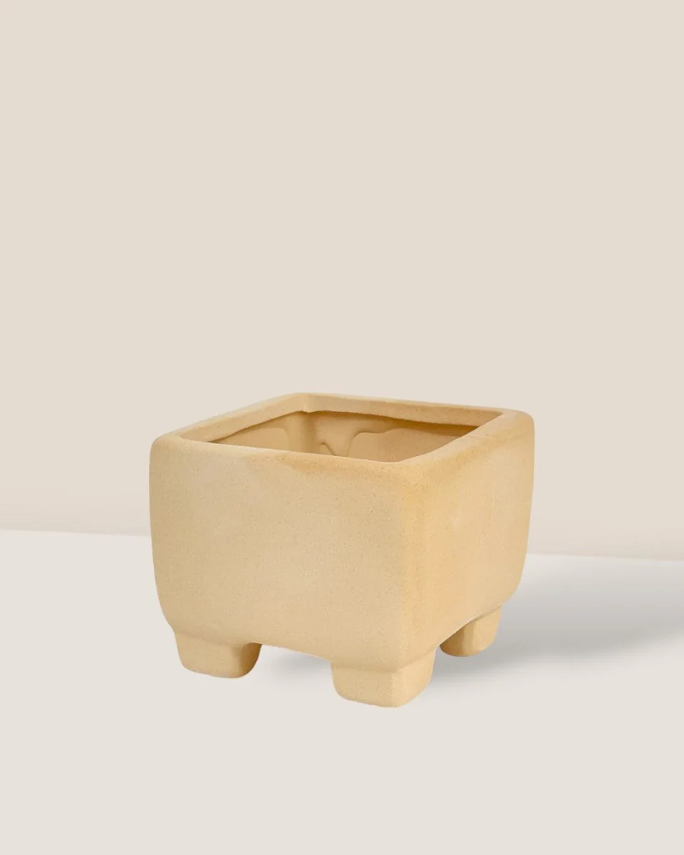 Kris Terracotta Pot - Image 4