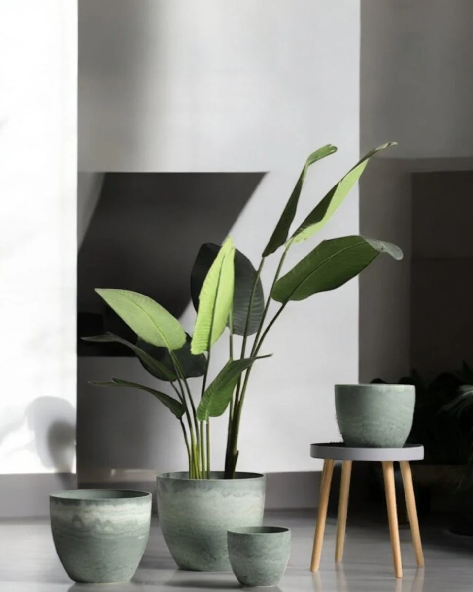 AirStone Egg Pots - Large - Image 4