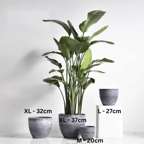AirStone Egg Pots - Large - Image 8
