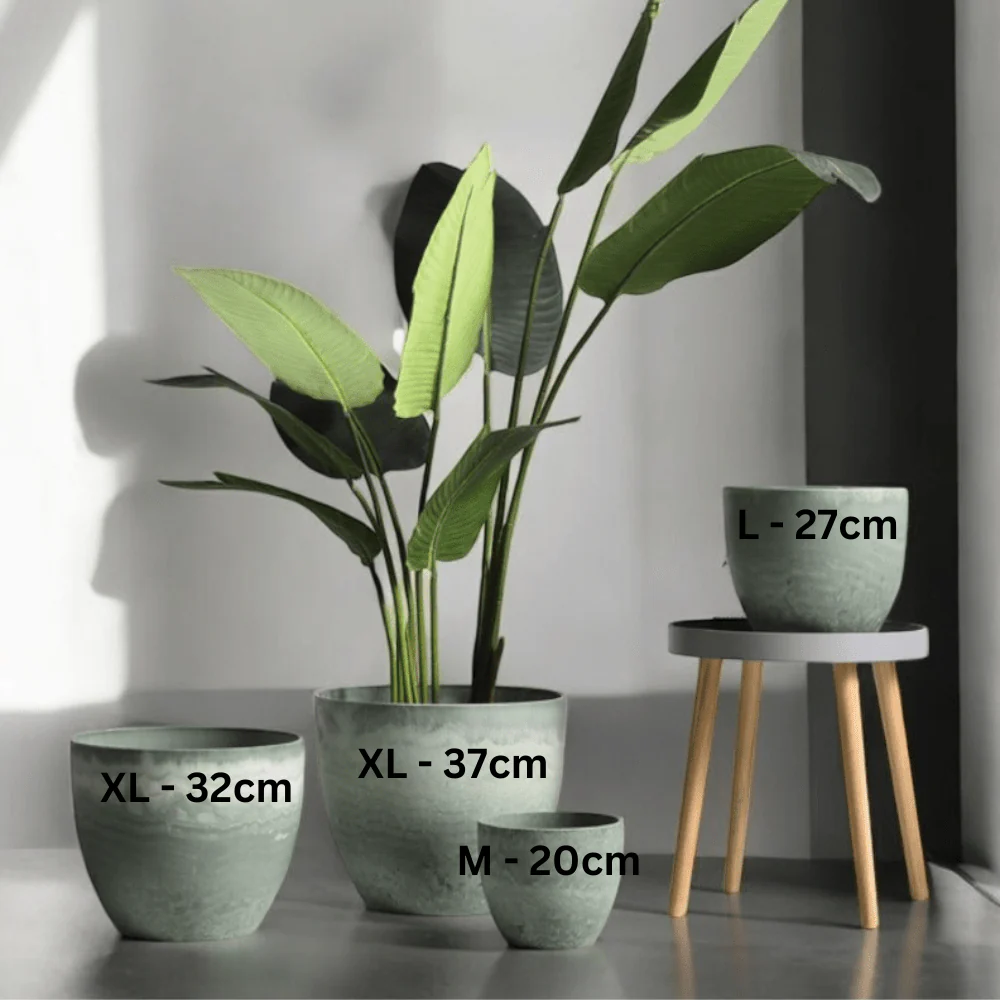 AirStone Egg Pots - Large - Image 9