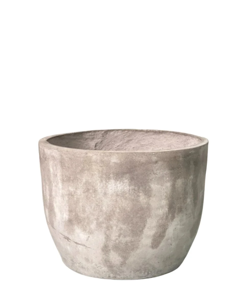 Lyra - Large - Image 5