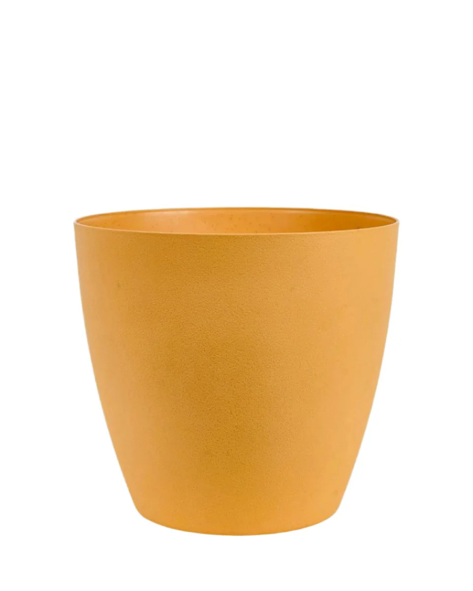 Mila - Large - Image 4