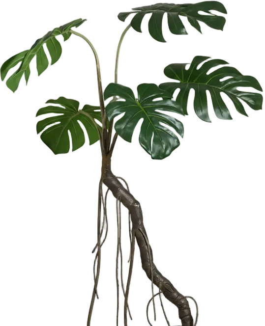 Large Monstera (Life-like Artificial) - Image 10