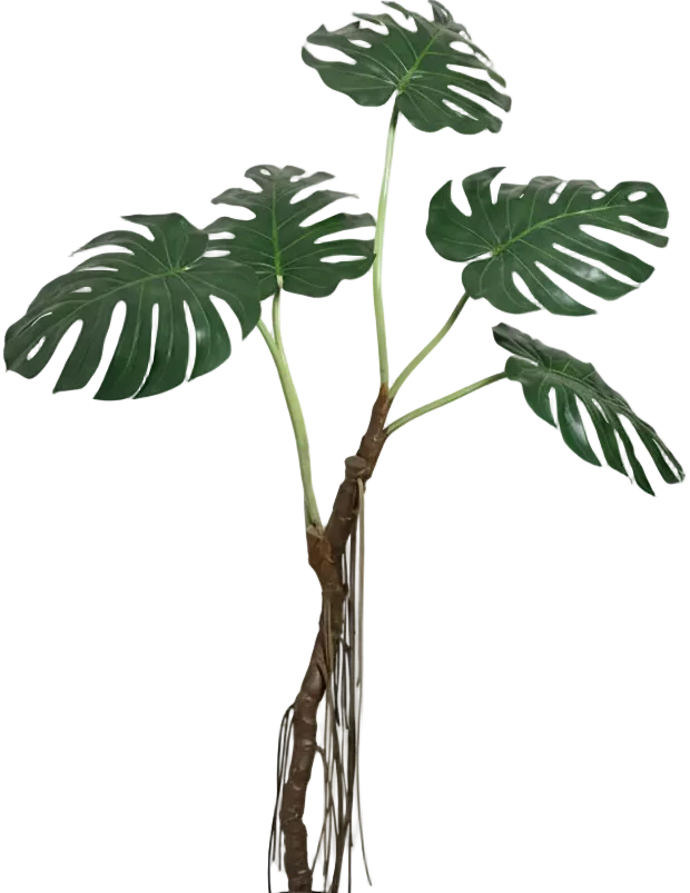 Large Monstera (Life-like Artificial) - Image 11