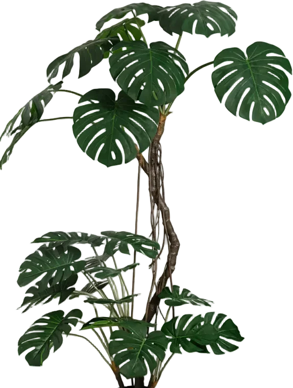Large Monstera (Life-like Artificial) - Image 12