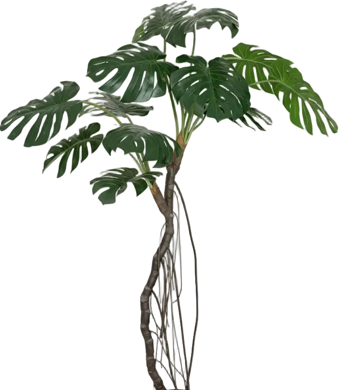 Large Monstera (Life-like Artificial) - Image 14