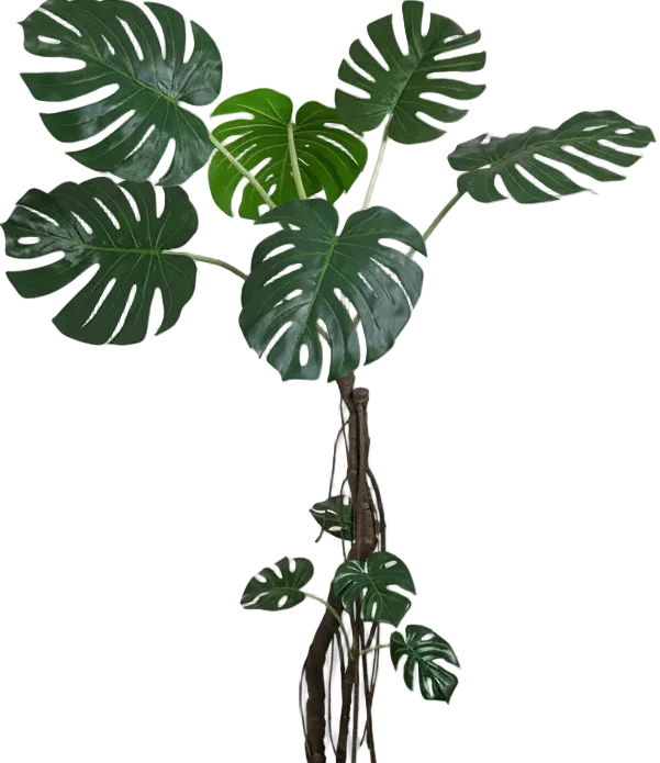 Large Monstera (Life-like Artificial) - Image 15