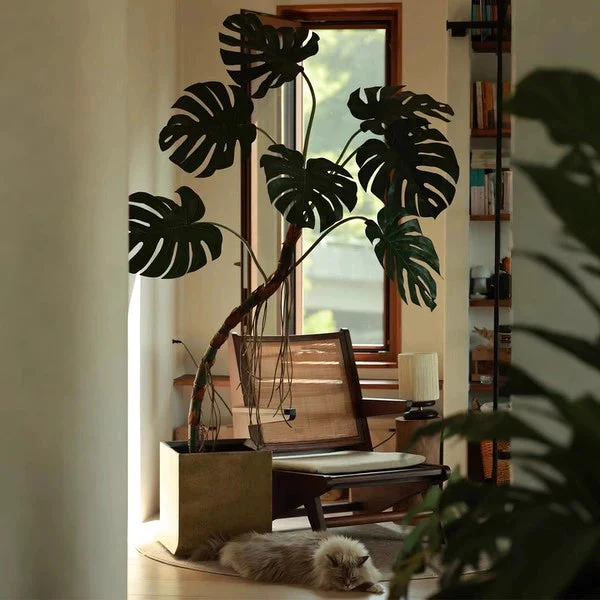 Large Monstera (Life-like Artificial) - Image 2