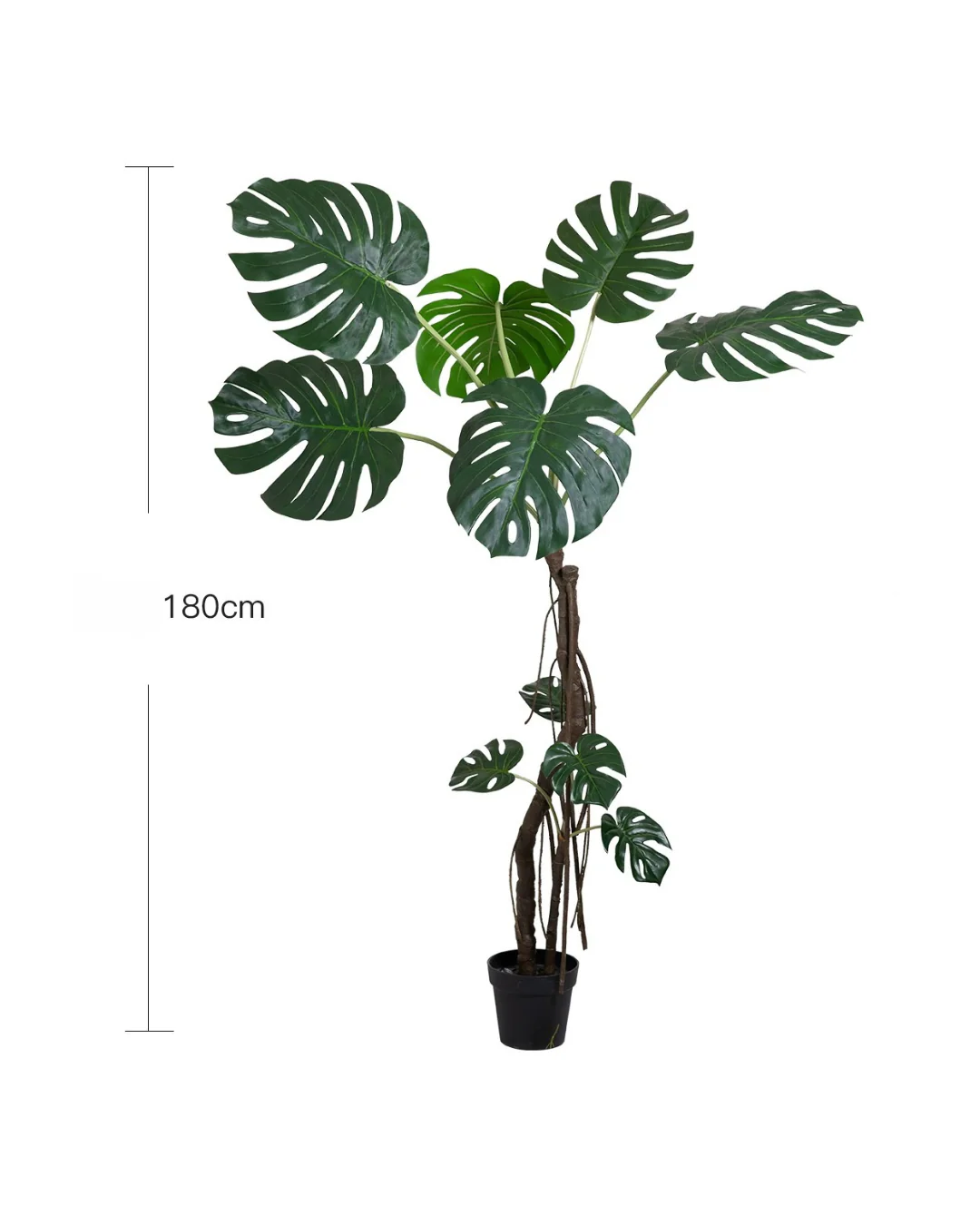 Large Monstera (Life-like Artificial) - Image 6
