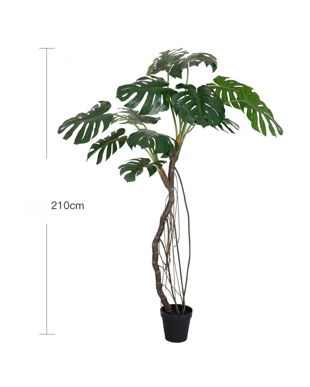 Large Monstera (Life-like Artificial) - Image 8
