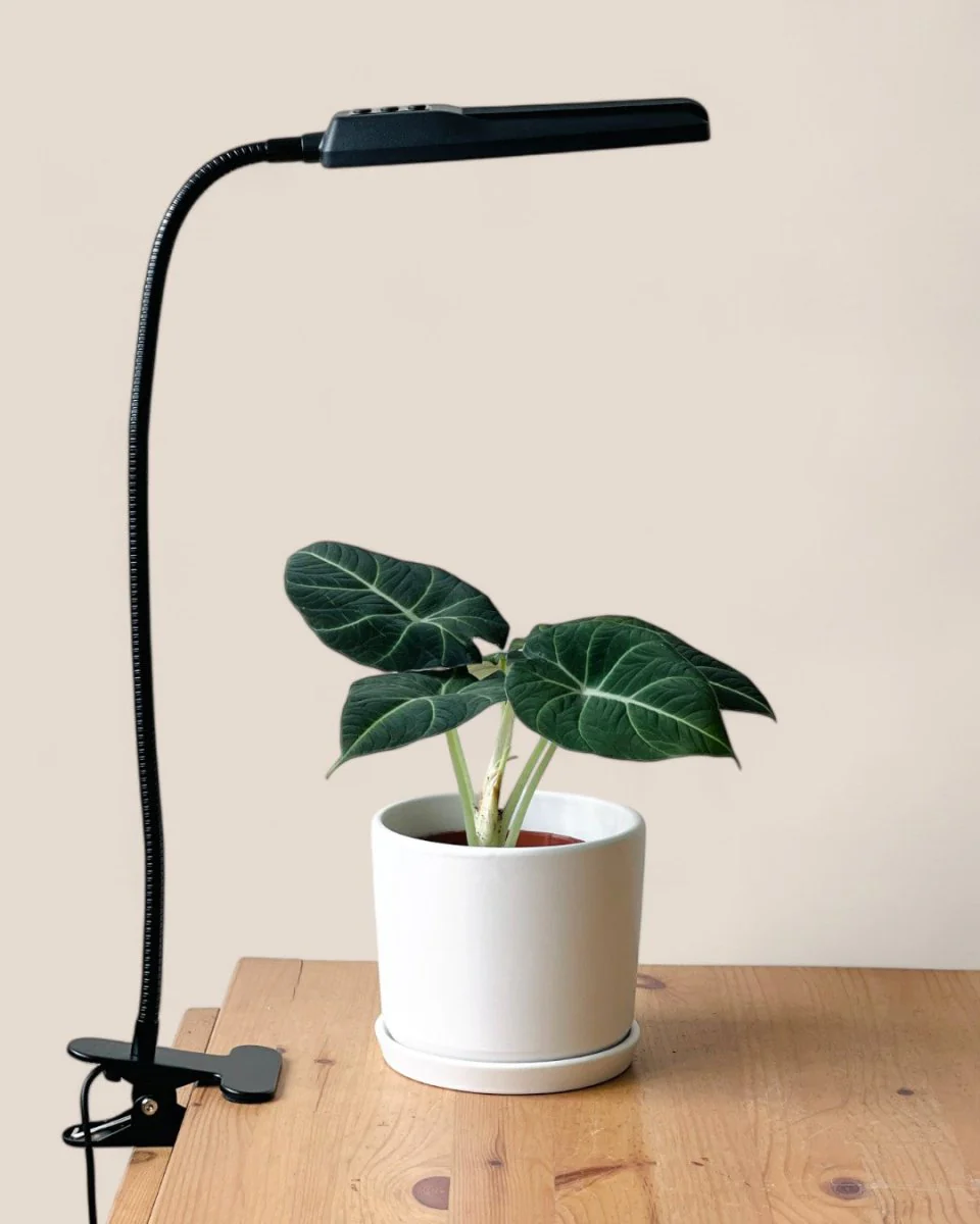 LED Plant Grow Light